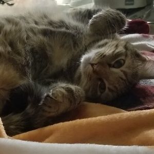 Meet your Posher, Sarah sunghee